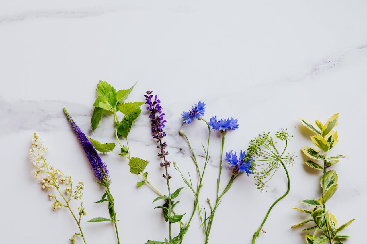 Vibrant mix of herbs and flowers laid out on a white marble background, ideal for botanical themes.